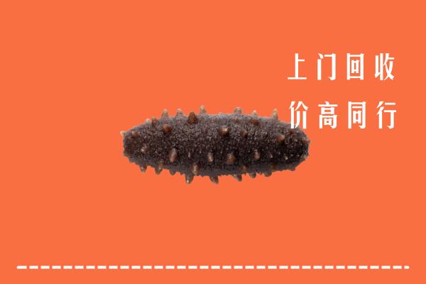 高价求购：钦州回收海参