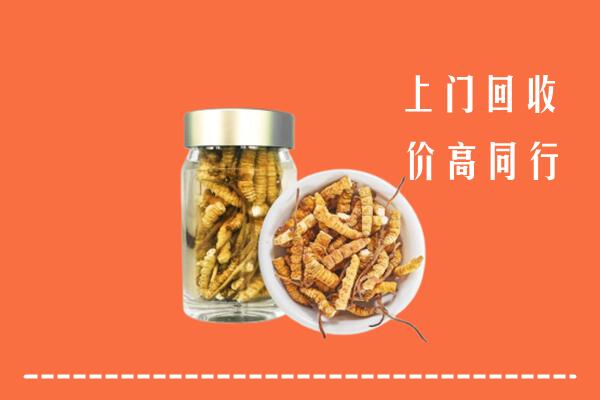 钦州回收冬虫夏草